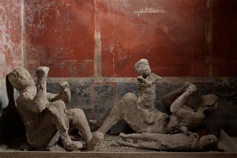 did anybody survive pompeii|Ancient DNA reveals secrets of Pompeii victims .